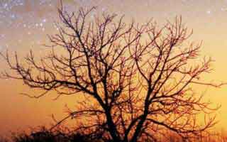 冷门揭秘｜谁都以为只是普通更新91爆料这次像是故意没讲全，让人越看越发凉