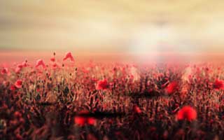 一个不起眼的跳转，却把新91黑料背后的91网浏览器重新推回风口