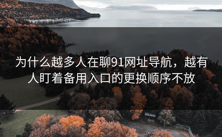 为什么越多人在聊91网址导航，越有人盯着备用入口的更换顺序不放