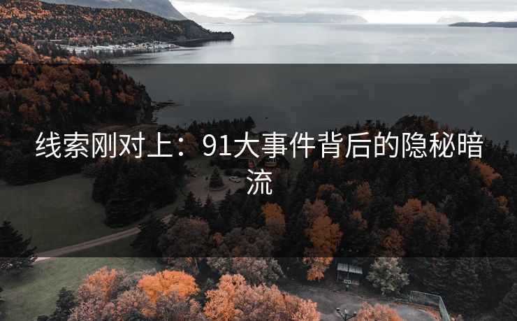 线索刚对上：91大事件背后的隐秘暗流