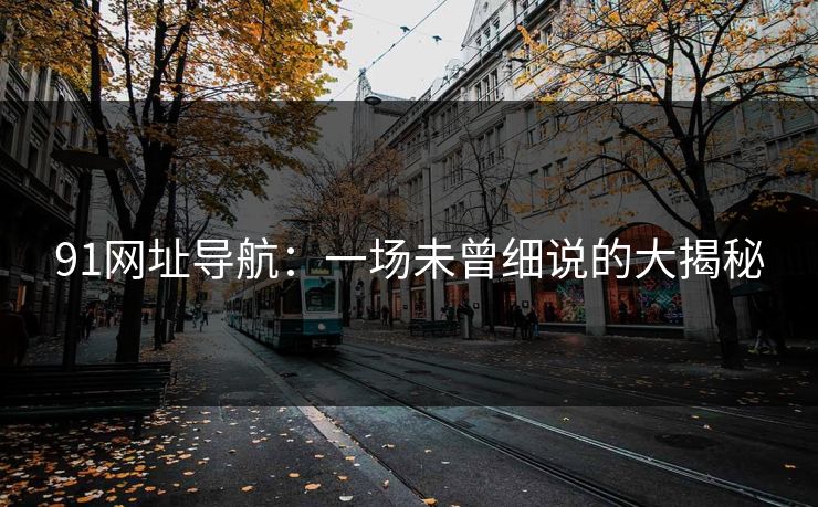 91网址导航：一场未曾细说的大揭秘