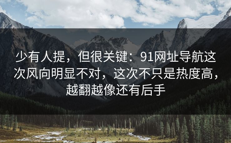少有人提，但很关键：91网址导航这次风向明显不对，这次不只是热度高，越翻越像还有后手
