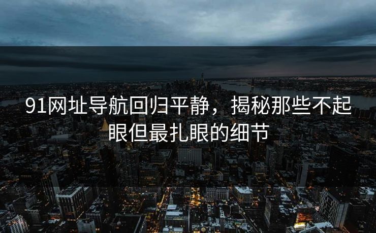 91网址导航回归平静，揭秘那些不起眼但最扎眼的细节