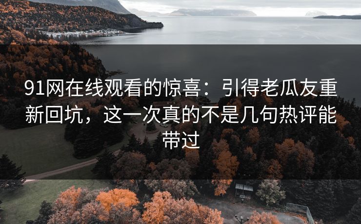 91网在线观看的惊喜：引得老瓜友重新回坑，这一次真的不是几句热评能带过