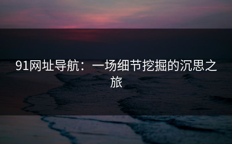 91网址导航：一场细节挖掘的沉思之旅