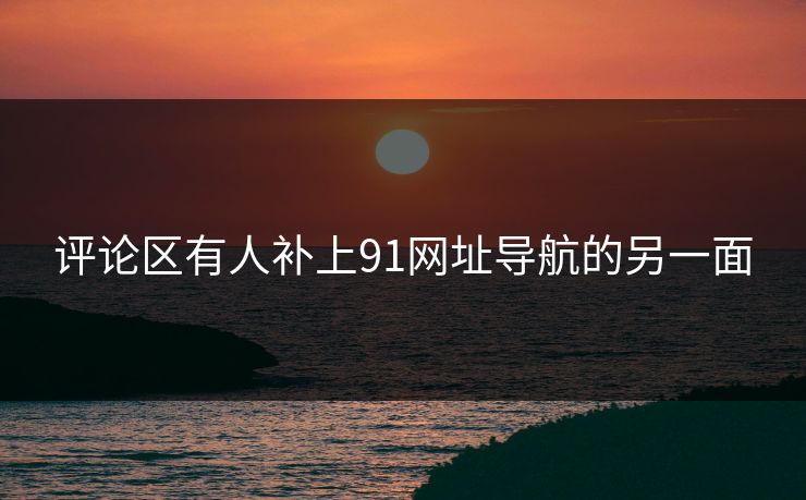 评论区有人补上91网址导航的另一面