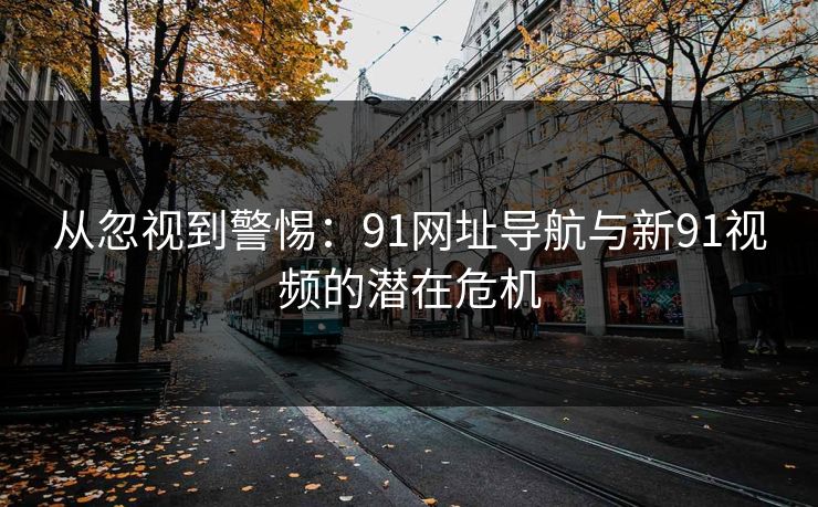 从忽视到警惕：91网址导航与新91视频的潜在危机